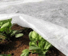 Материал укрывной Агроспан-60 Агро для защиты растений, выращивания овощей и ягод