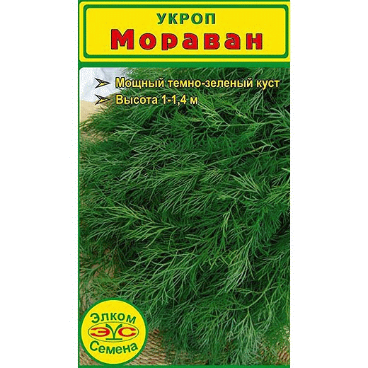 Укроп Мораван - долго не стареет, густая зелень, очень ароматный, и самое главное поздно дает зонтик.