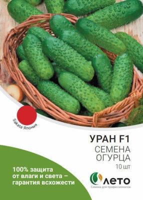 Ранний гибрид огурца, Япония