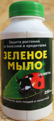 <b>Зеленое мыло 250 мл)</b> - профилактическое средство для предупреждения появления сосущих насекомых на растениях.