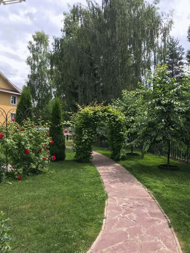 Садовая арка для роз 1 – изысканное украшение загородного участка