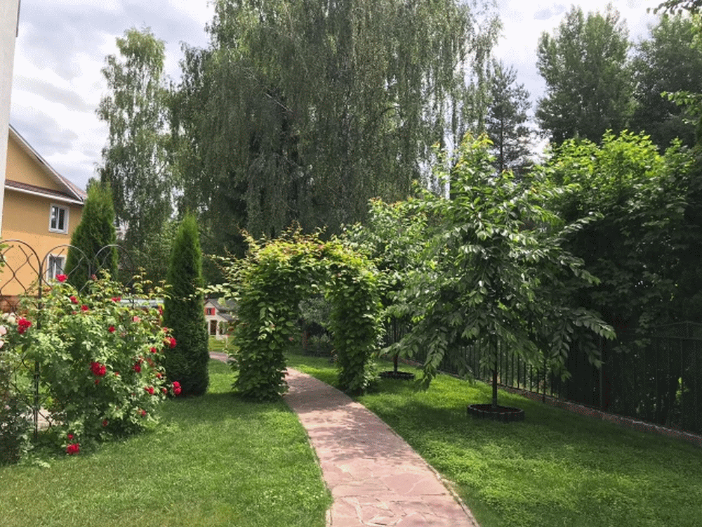 Садовая арка для роз 1 – изысканное украшение загородного участка