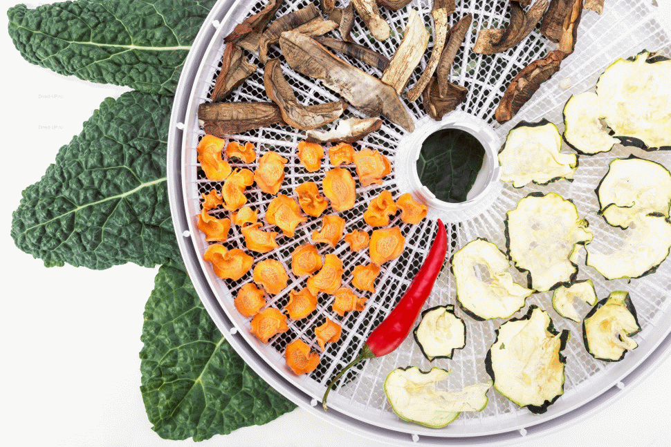 Для Ezidri Snackmaker FD500 поддон