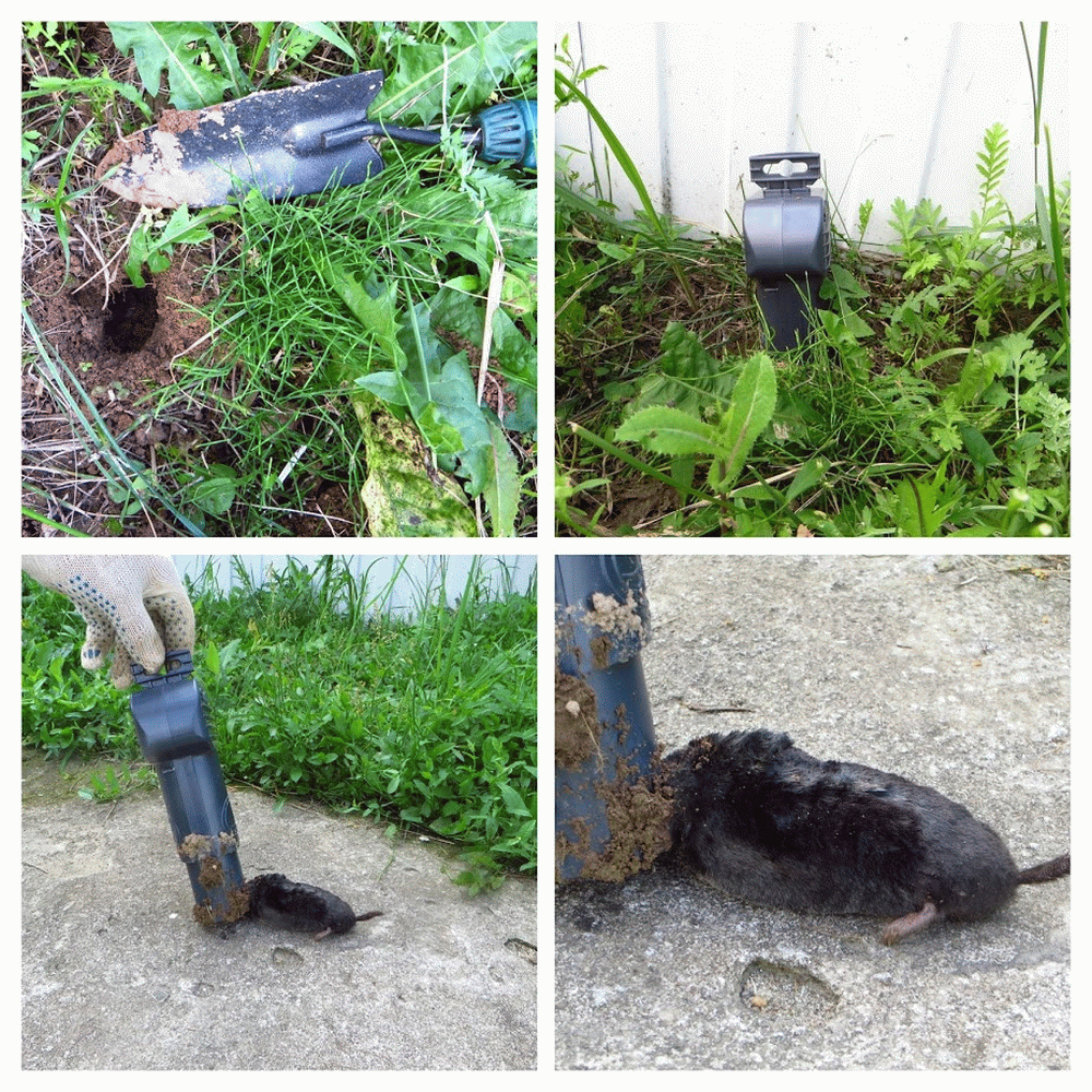 Механический капкан SuperCat Vole Trap - простое и надёжное устройство. Расчитан на многократное использование.