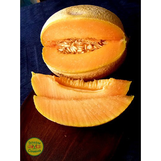 Очень вкусный сорт дыни с оранжевой мякотью - Супермаркет F1