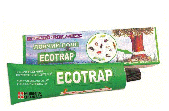 Клей Ecotrap - самый экологичный способ защиты плодовых деревьев