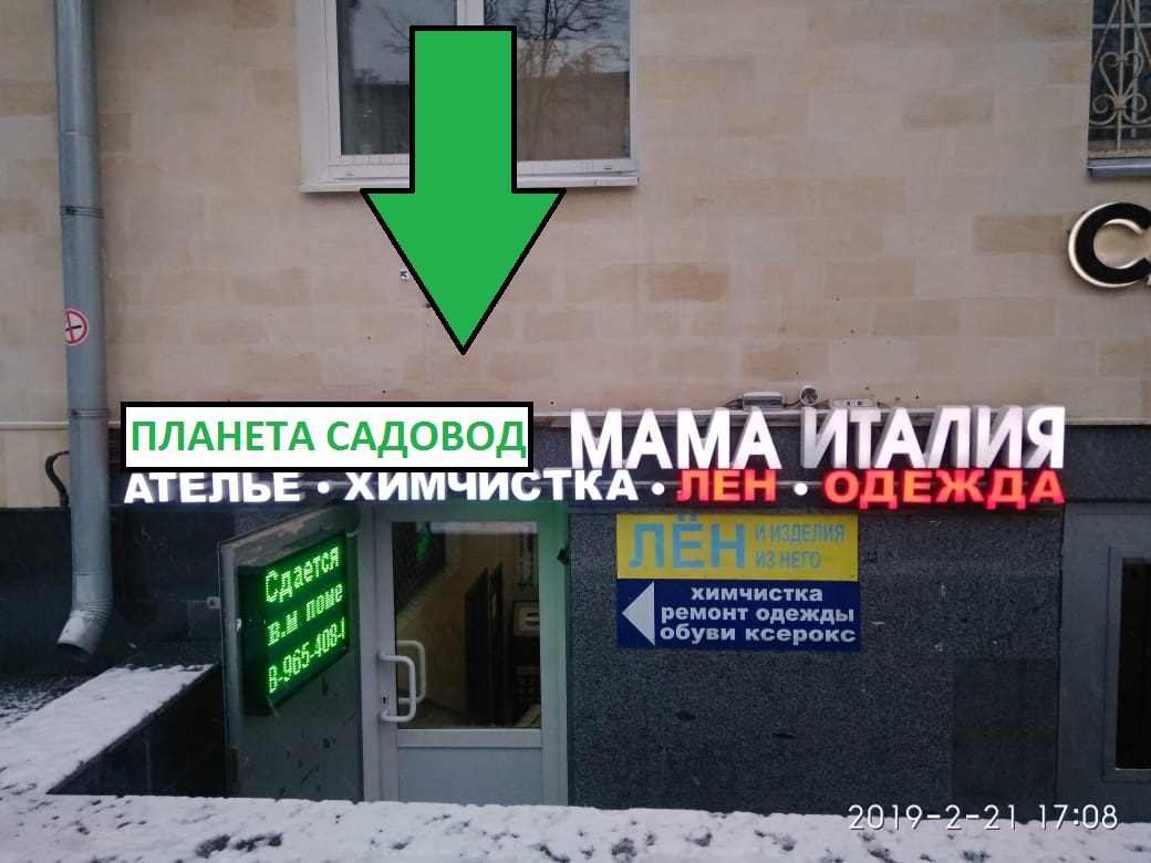 Магазин Садовод Нижний Новгород Сайт Каталог